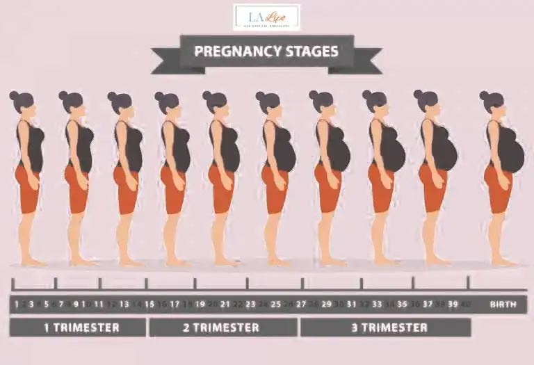 First Trimester (Weeks 1–12): Early Changes You Might Not Notice Chesham